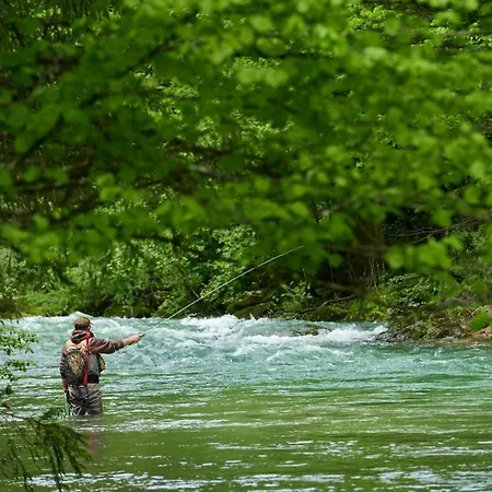 Etno House Gostece- With Finnish Sauna Mozirje