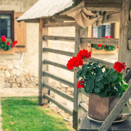 Etno House Gostece- With Finnish Sauna Počitniška hiša *
