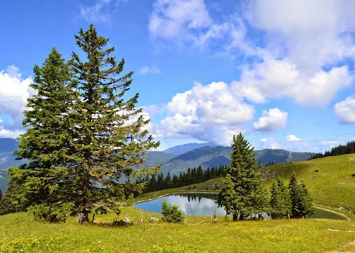 Etno House Gostece- With Finnish Sauna *