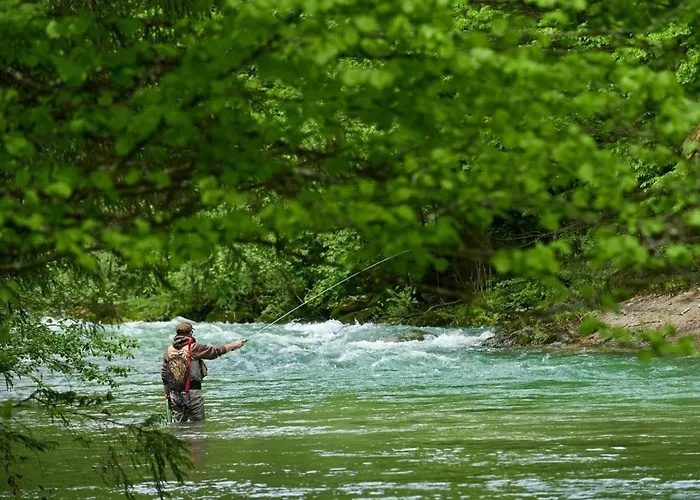 Etno House Gostece- With Finnish Sauna Mozirje